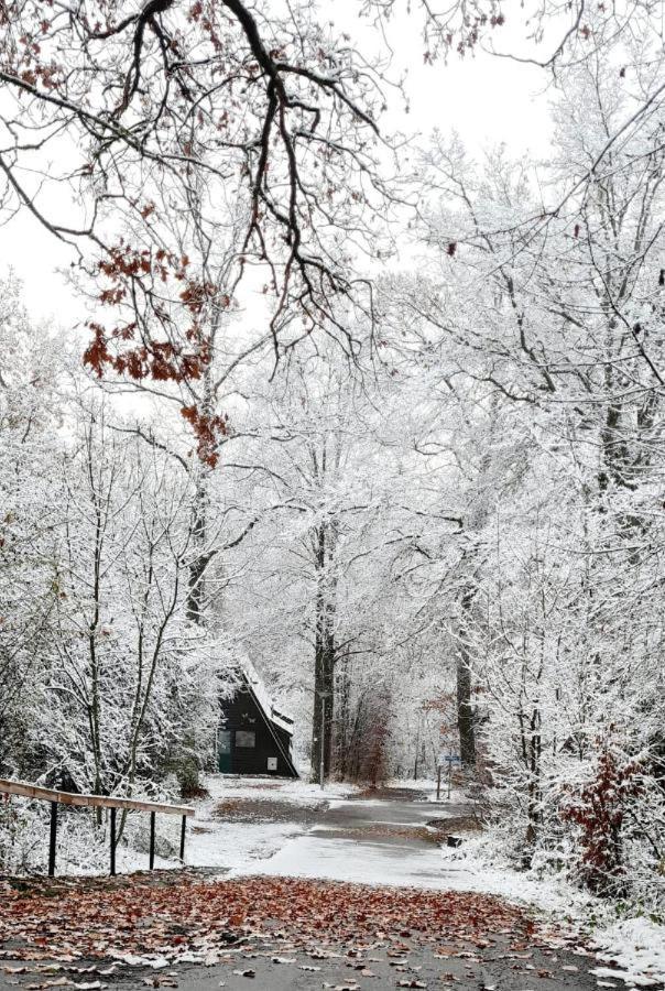 Het Uilennest In Durbuy Villa ภายนอก รูปภาพ